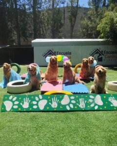 491422294_18273517873257439_5289556059316759897_n