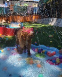 491422306_18273518209257439_8733194650672238434_n