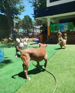 491470123_18273517780257439_537440794738008477_n