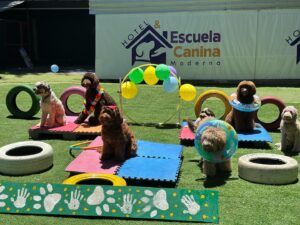 491492974_18273517231257439_1696151803645087904_n