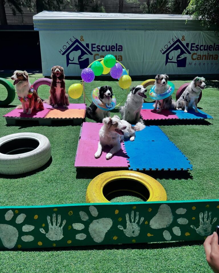 491493336_18273516790257439_8555886418819077544_n