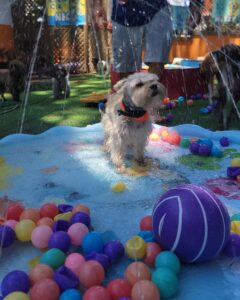 491496721_18273518284257439_4008211066236588717_n