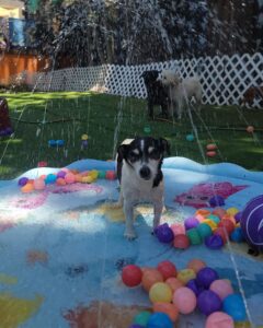 491499506_18273518302257439_7912580498313355151_n