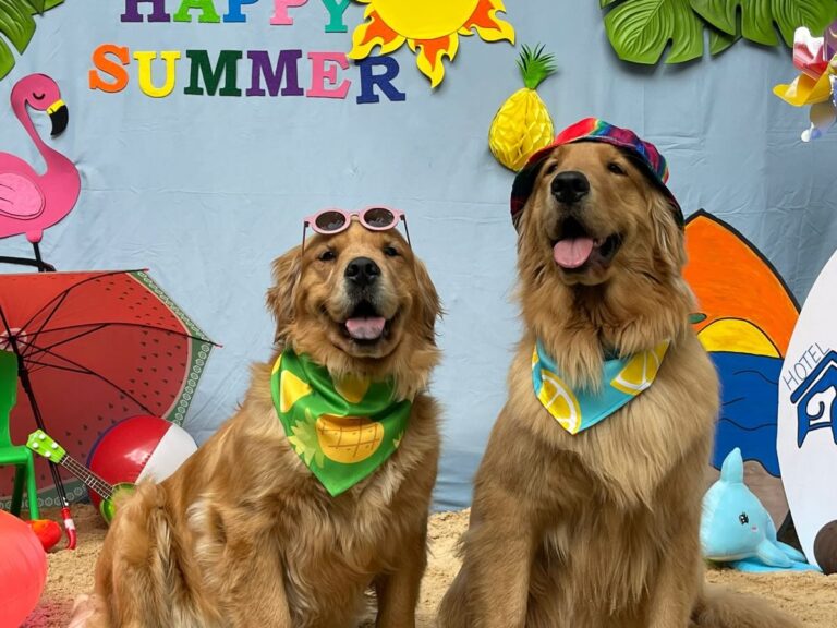 verano2026